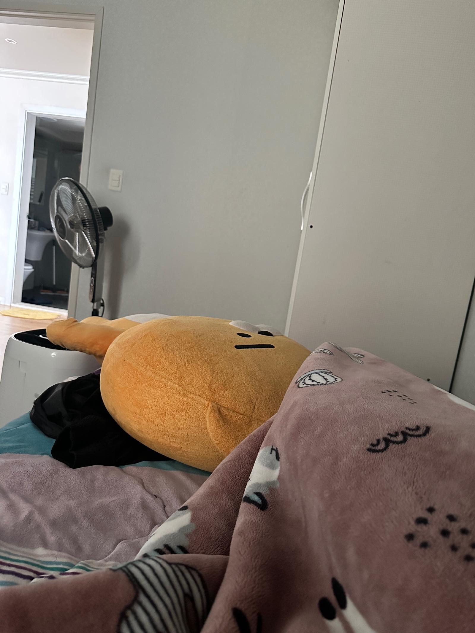 IMG_9087.jpeg