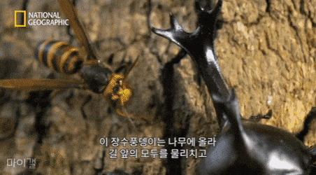 1595404547.gif