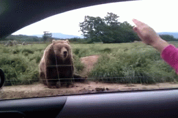 1567875574.gif