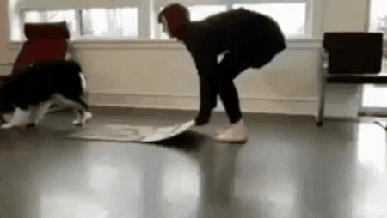 1590388037.gif