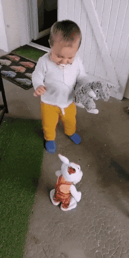 1587087569.gif