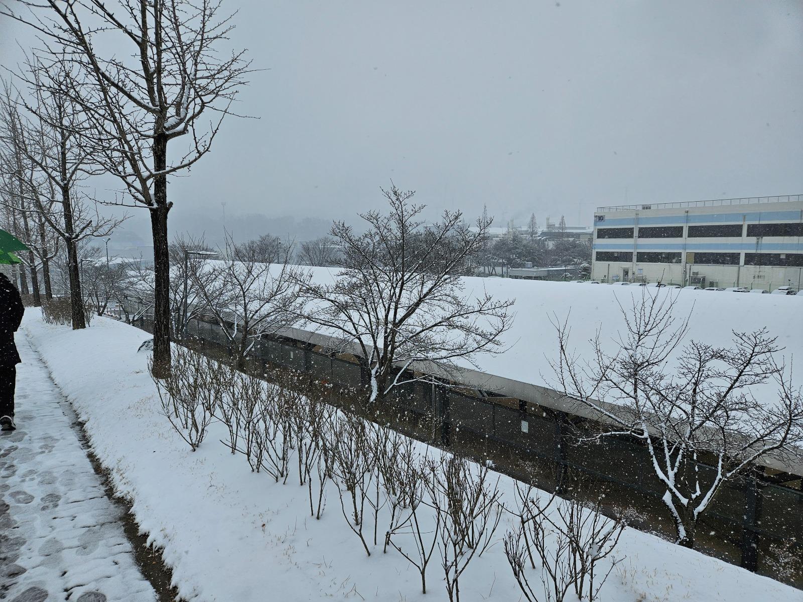 20260224_112305.jpg