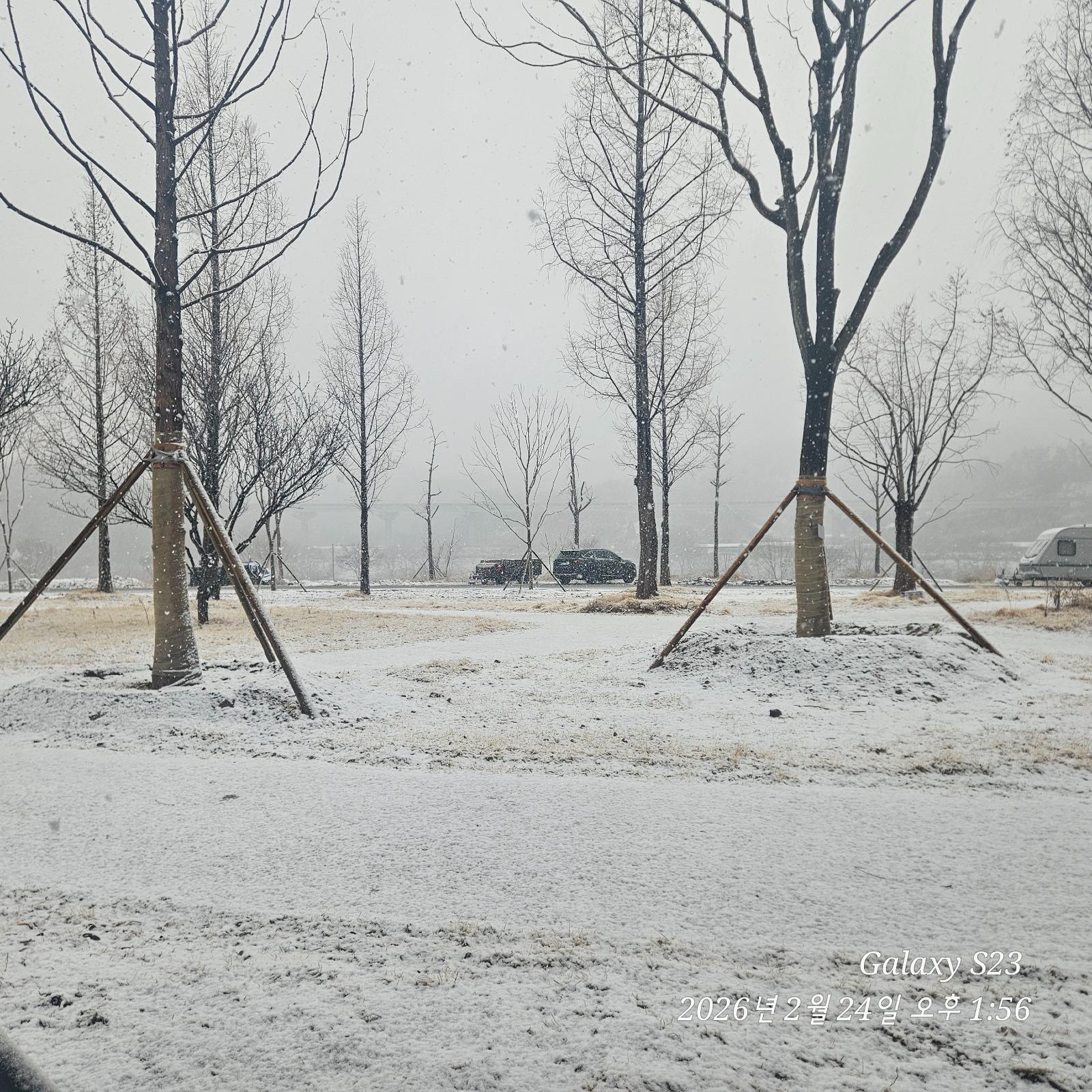 20260224_135600.jpg