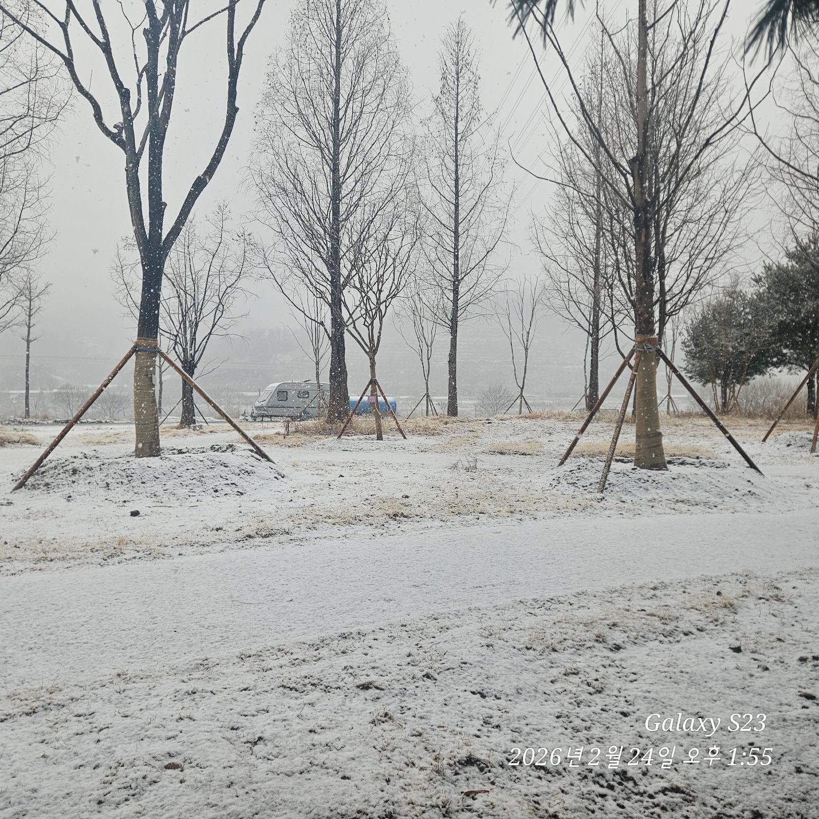 20260224_135553.jpg