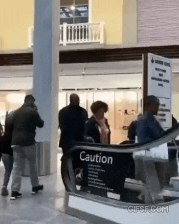 1598254502.gif