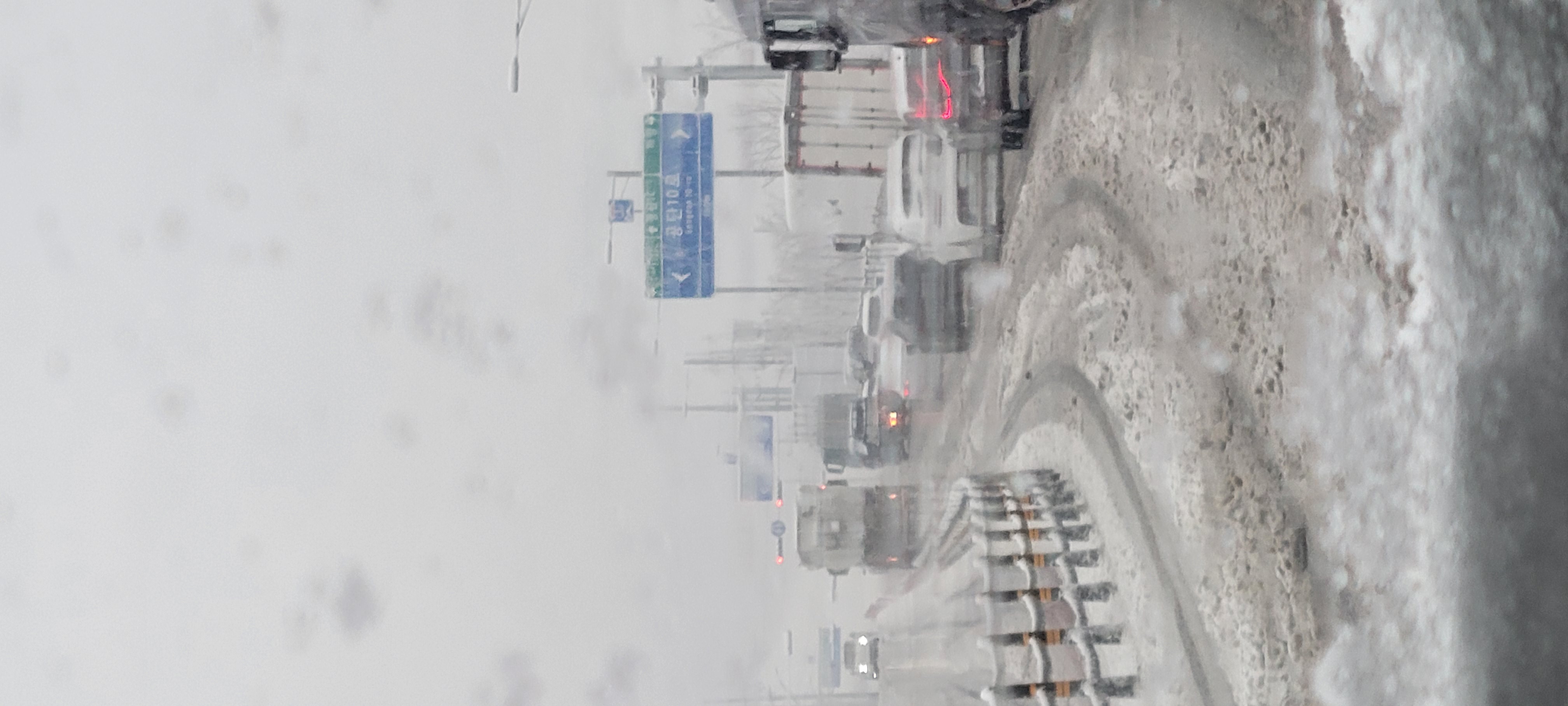 20260224_171247.jpg