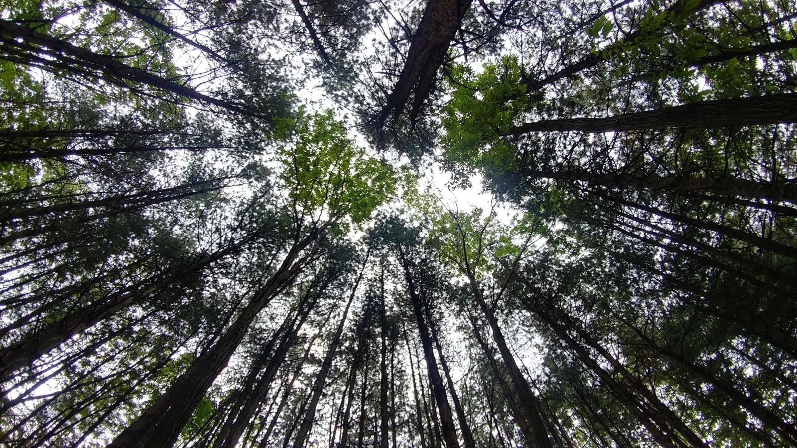20180527_110101_HDR.jpg