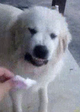 스크린샷 2026-02-12 095429.png