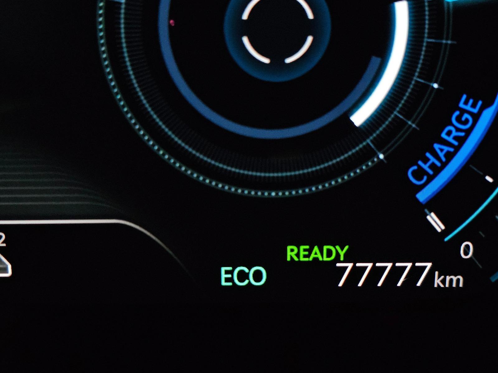 1000033764.jpg
