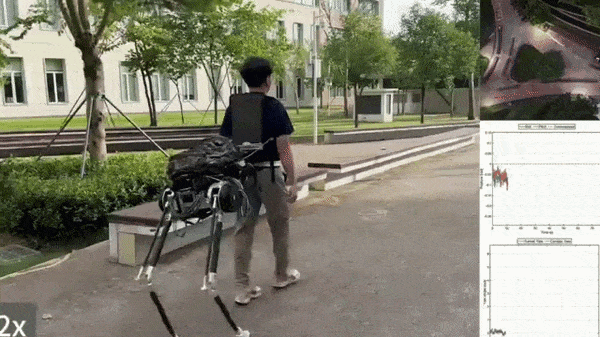 IMG_6263.gif