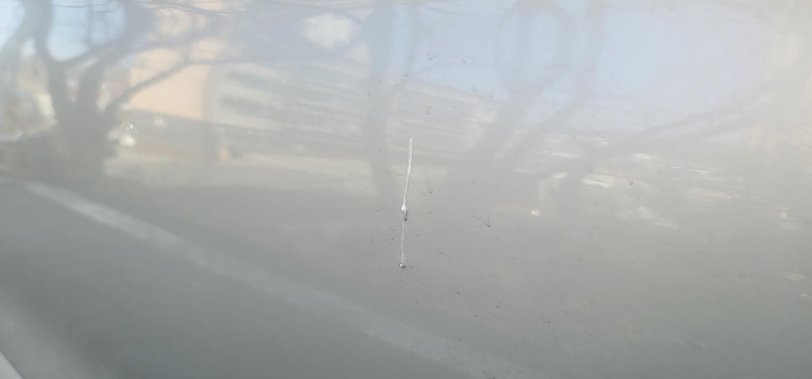 20260317_104845.jpg