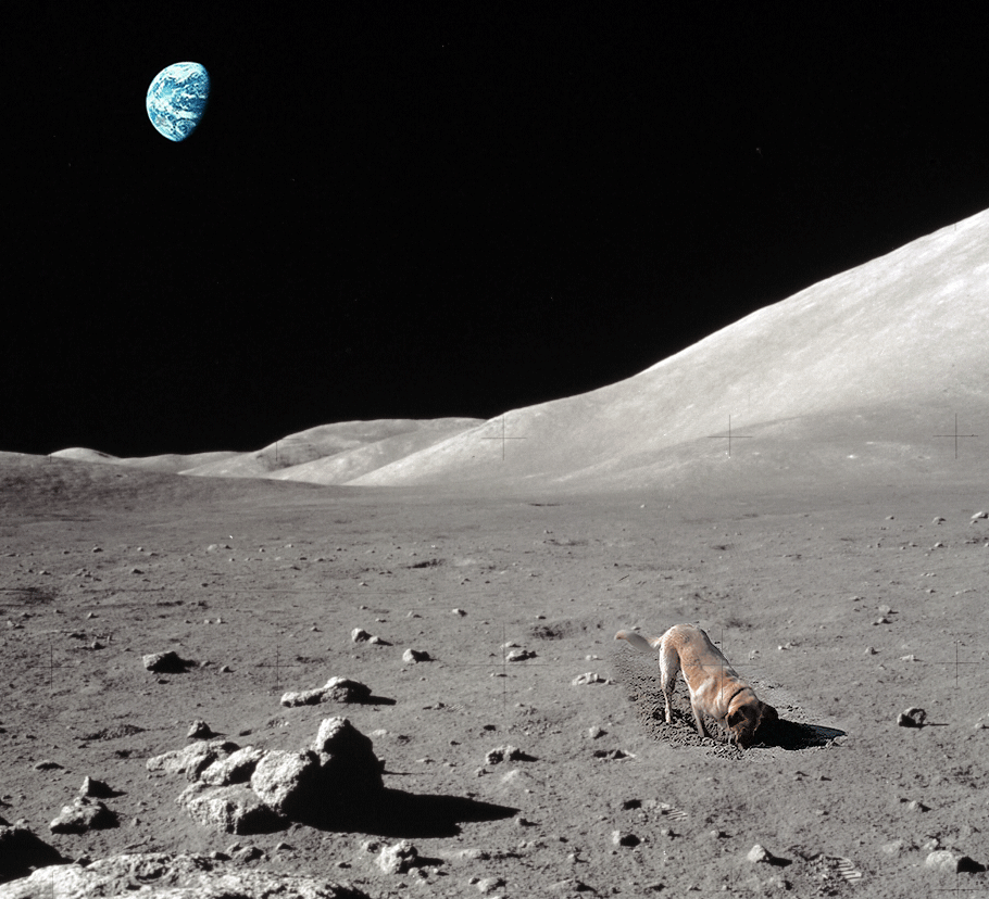 GwQK1750655983_518201609.gif