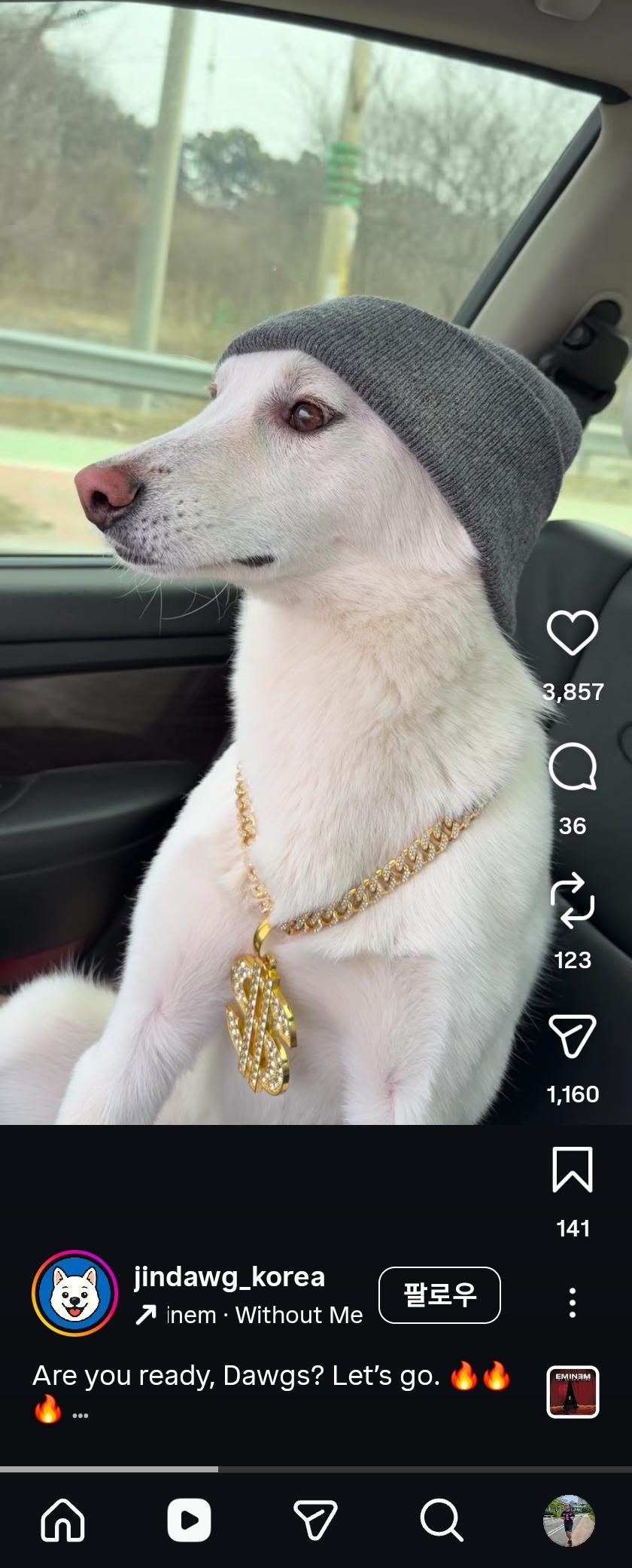 Screenshot_20260320_200154_Instagram.jpg