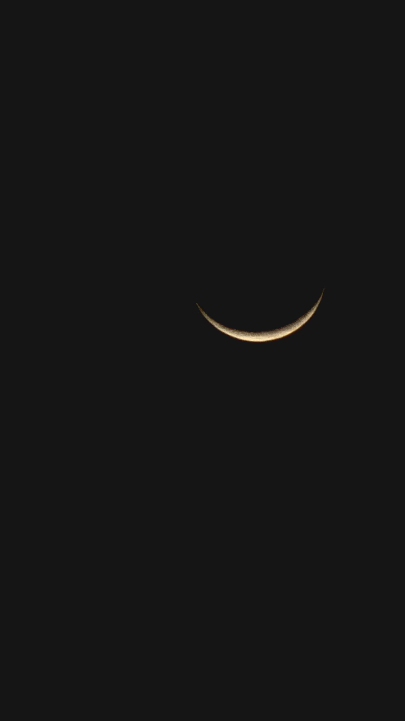 50570.jpg