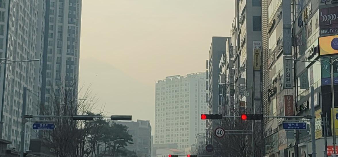 20260324_083737.jpg