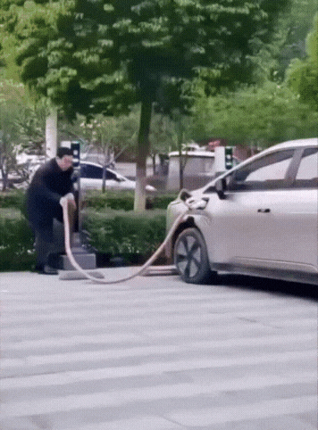 1774324660.gif