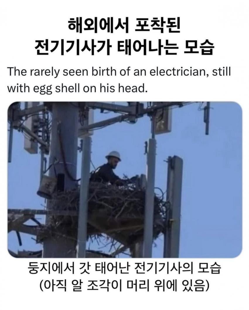 1774202817.jpg