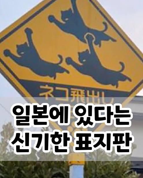 images-21.jpeg