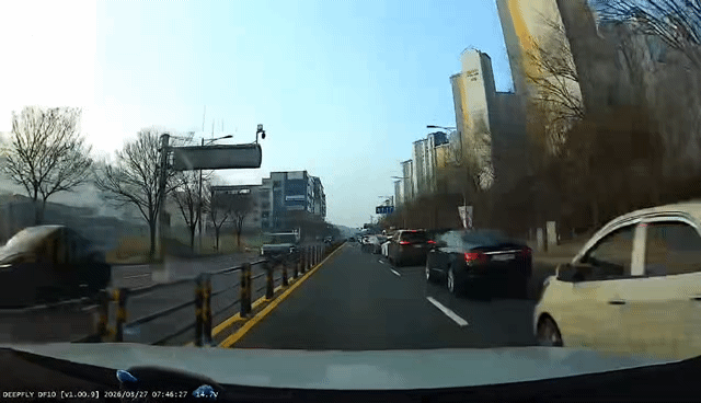 51538.gif