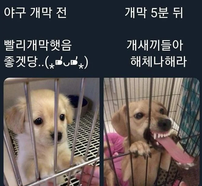 KakaoTalk_20260327_155037892-다음에서-변환-webp.png