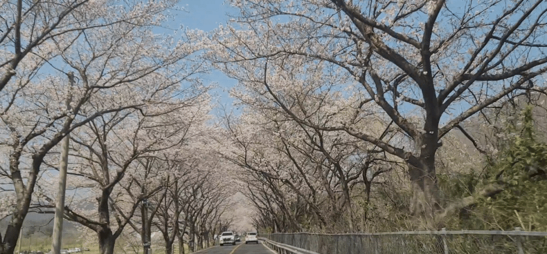 20260328_120328_1.gif