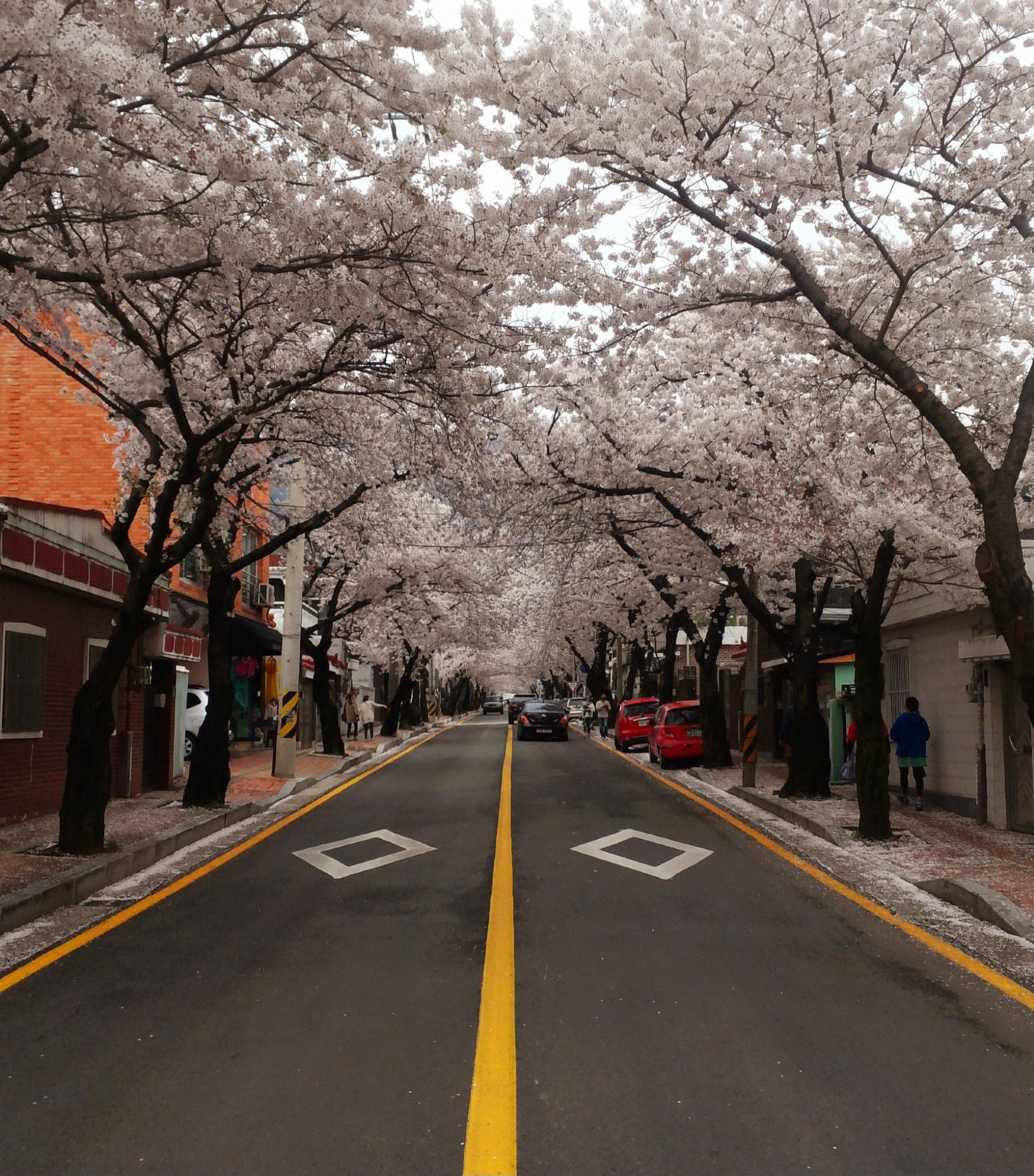 20150403_1427267.jpg