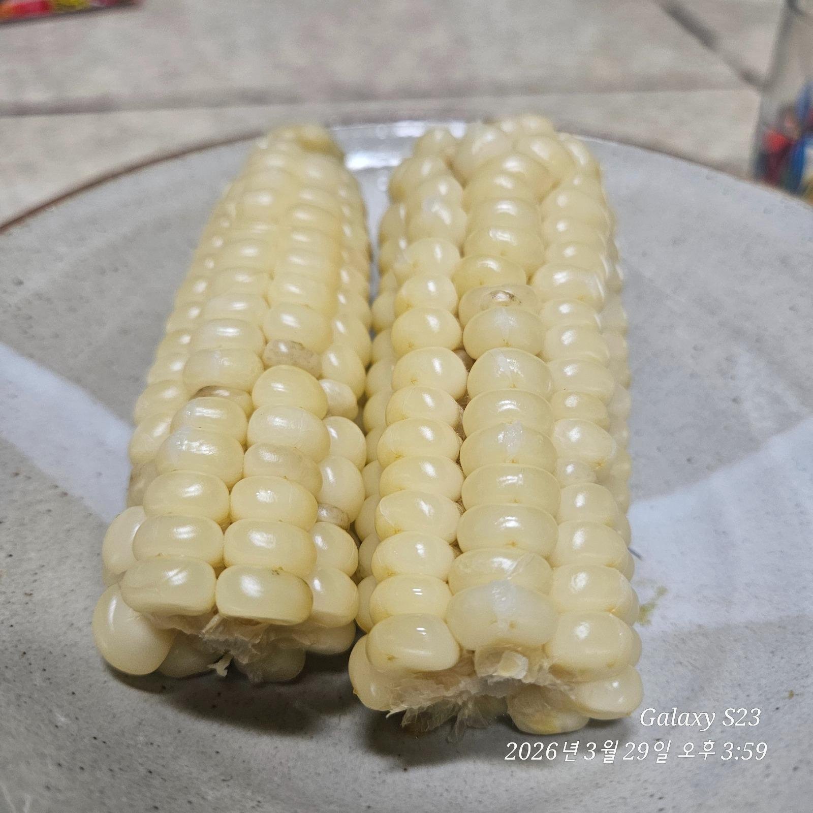 20260329_155912.jpg