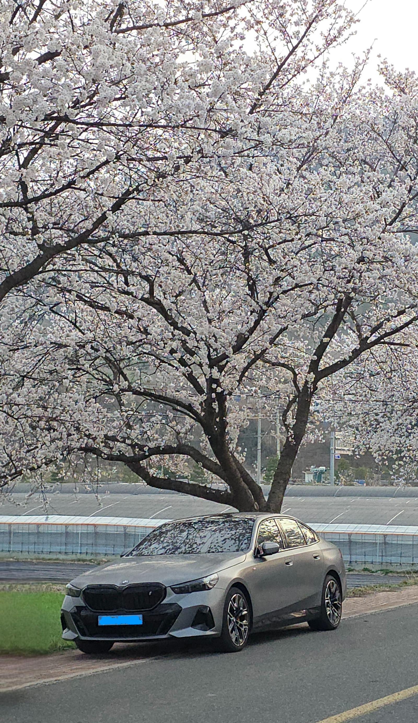 20260329_174327.jpg