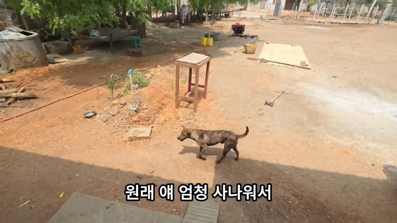 Screenshot_20260330_124410_YouTube.jpg