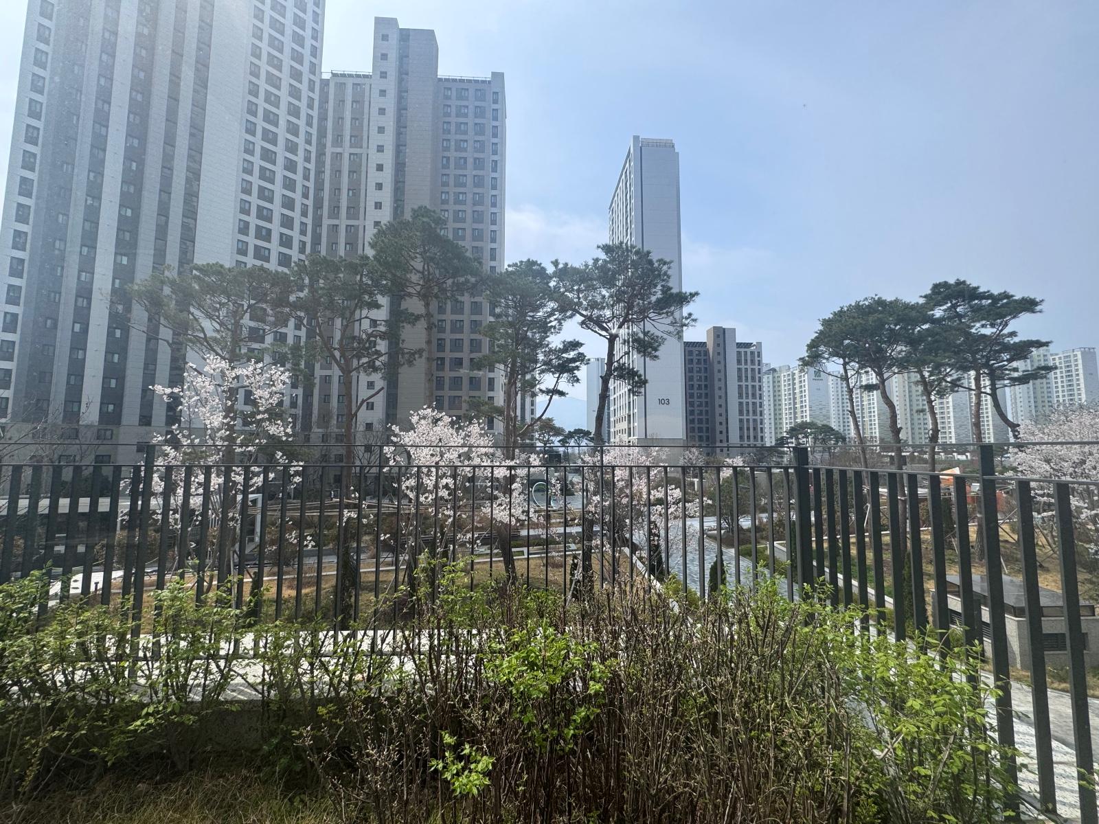 IMG_6216.jpeg