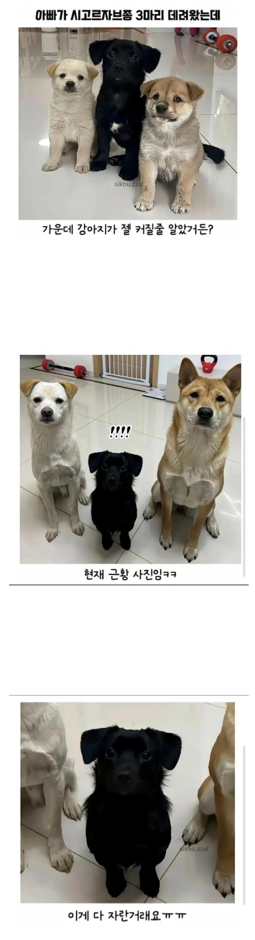 Screenshot_20260404_071628_Samsung Internet.jpg