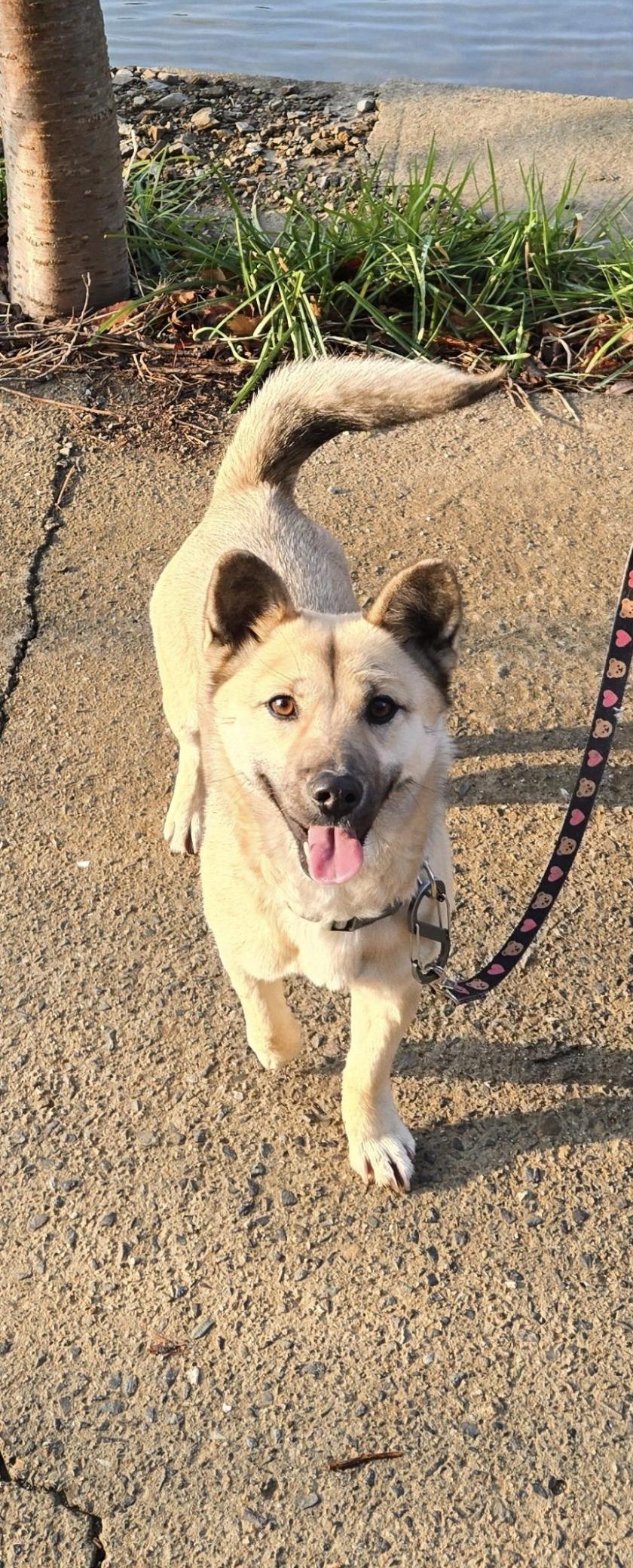 Screenshot_20260320_003149_Samsung Internet.jpg