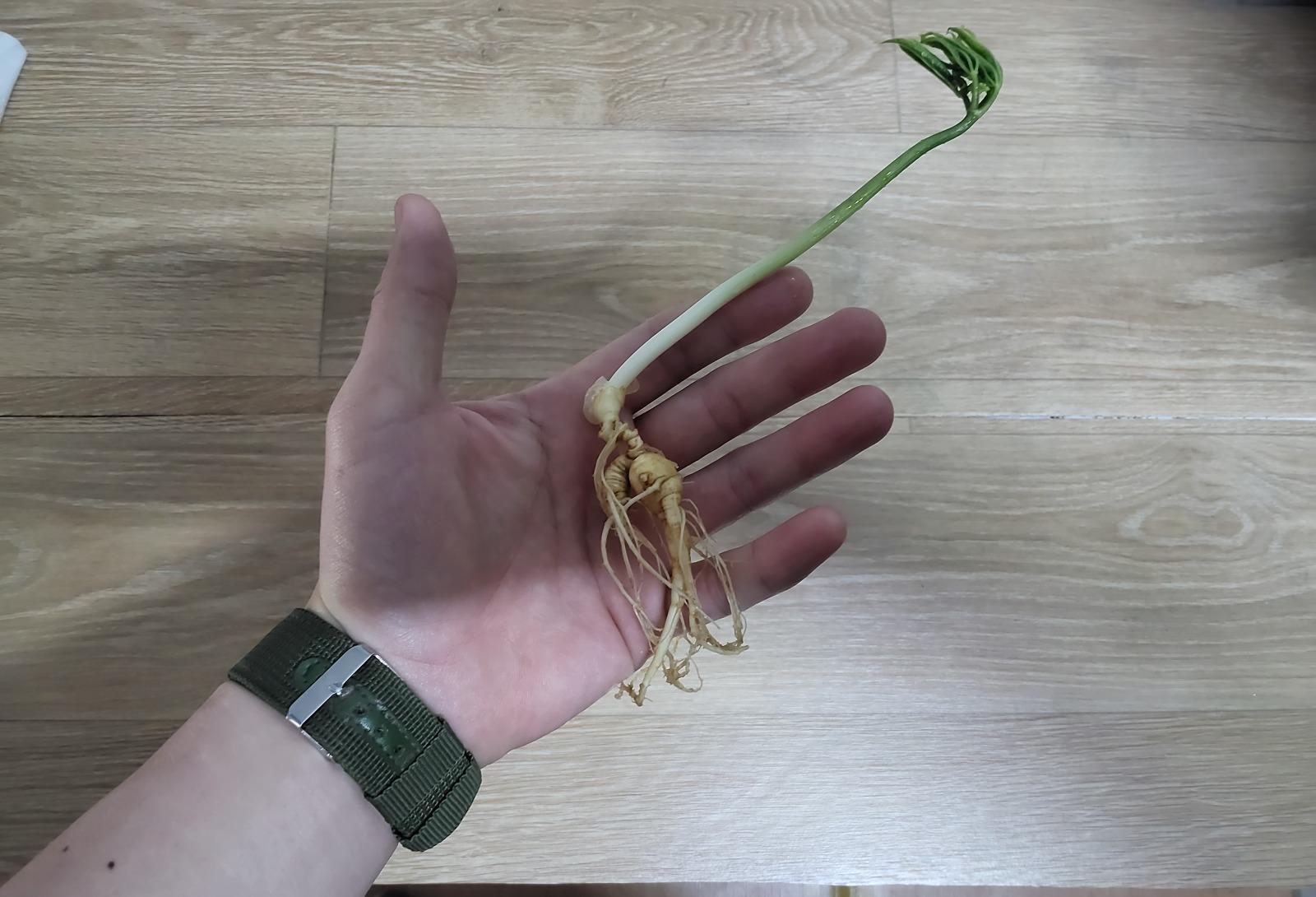 1000023419.jpg