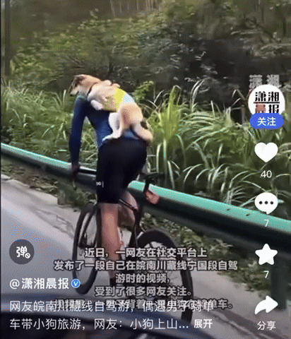 NISI20241029_0001688614_web.gif
