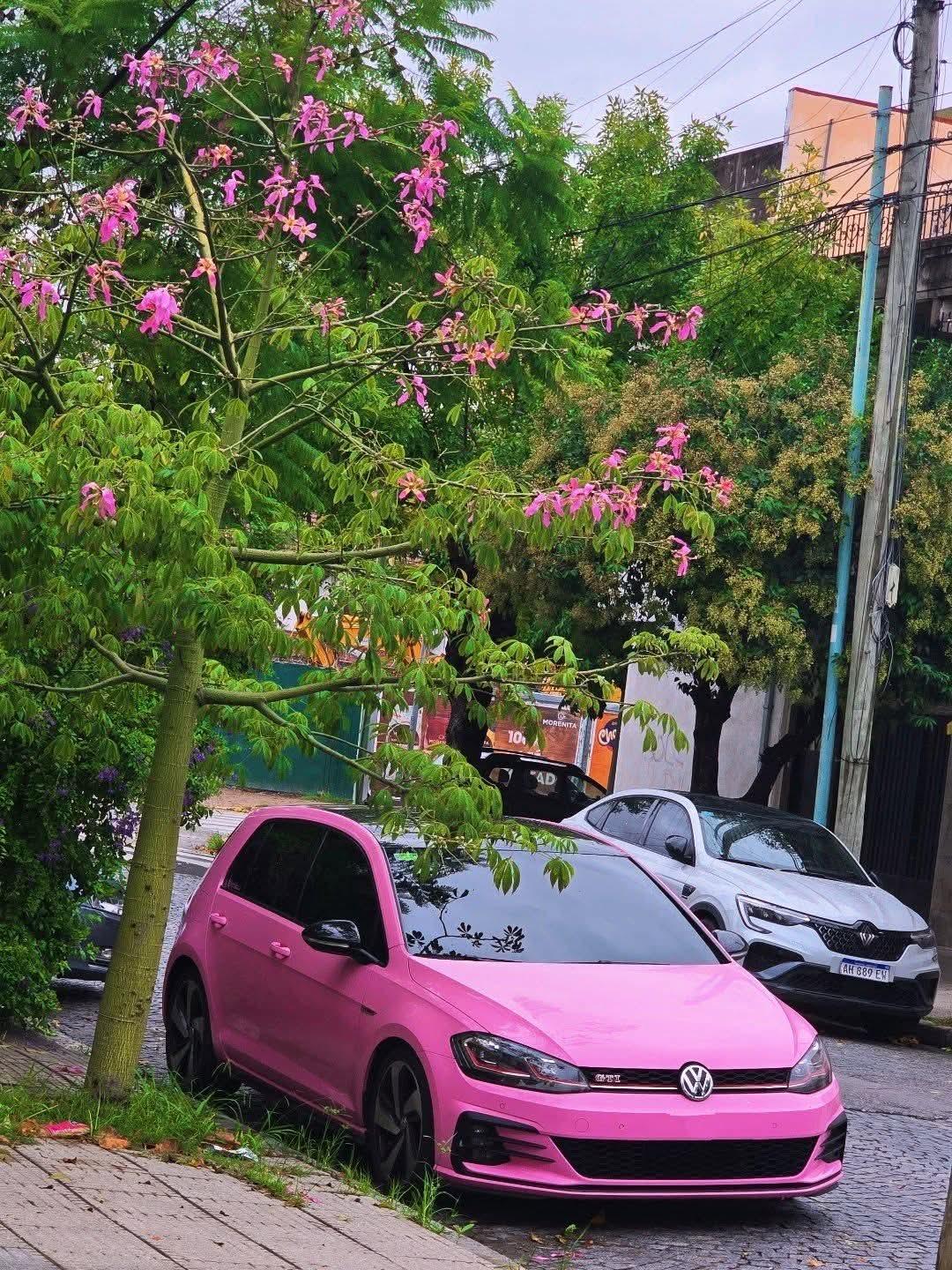 6870.jpg