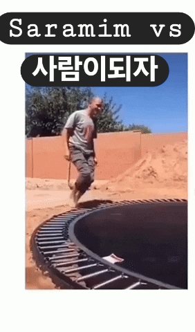 20260423_072956.gif
