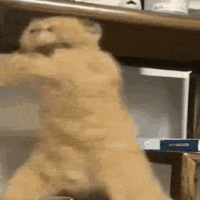 icon_34.gif