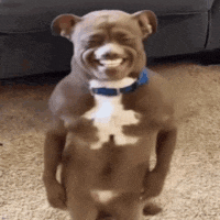 icon_35.gif