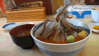 15451210460.gif