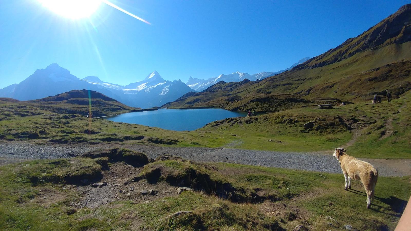 20180912_100353.jpg