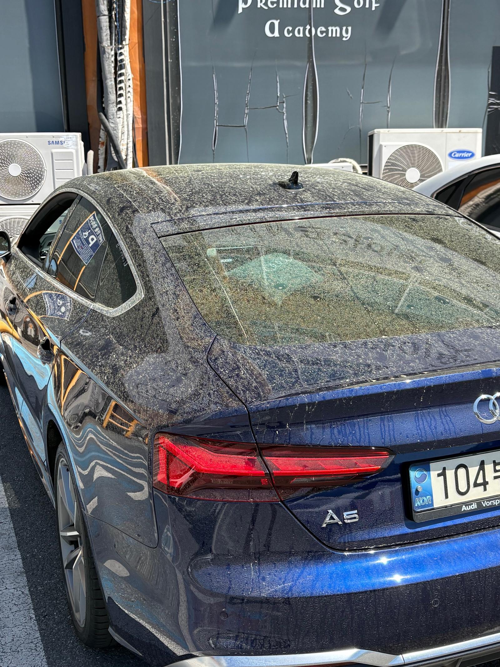 IMG_8086.jpeg