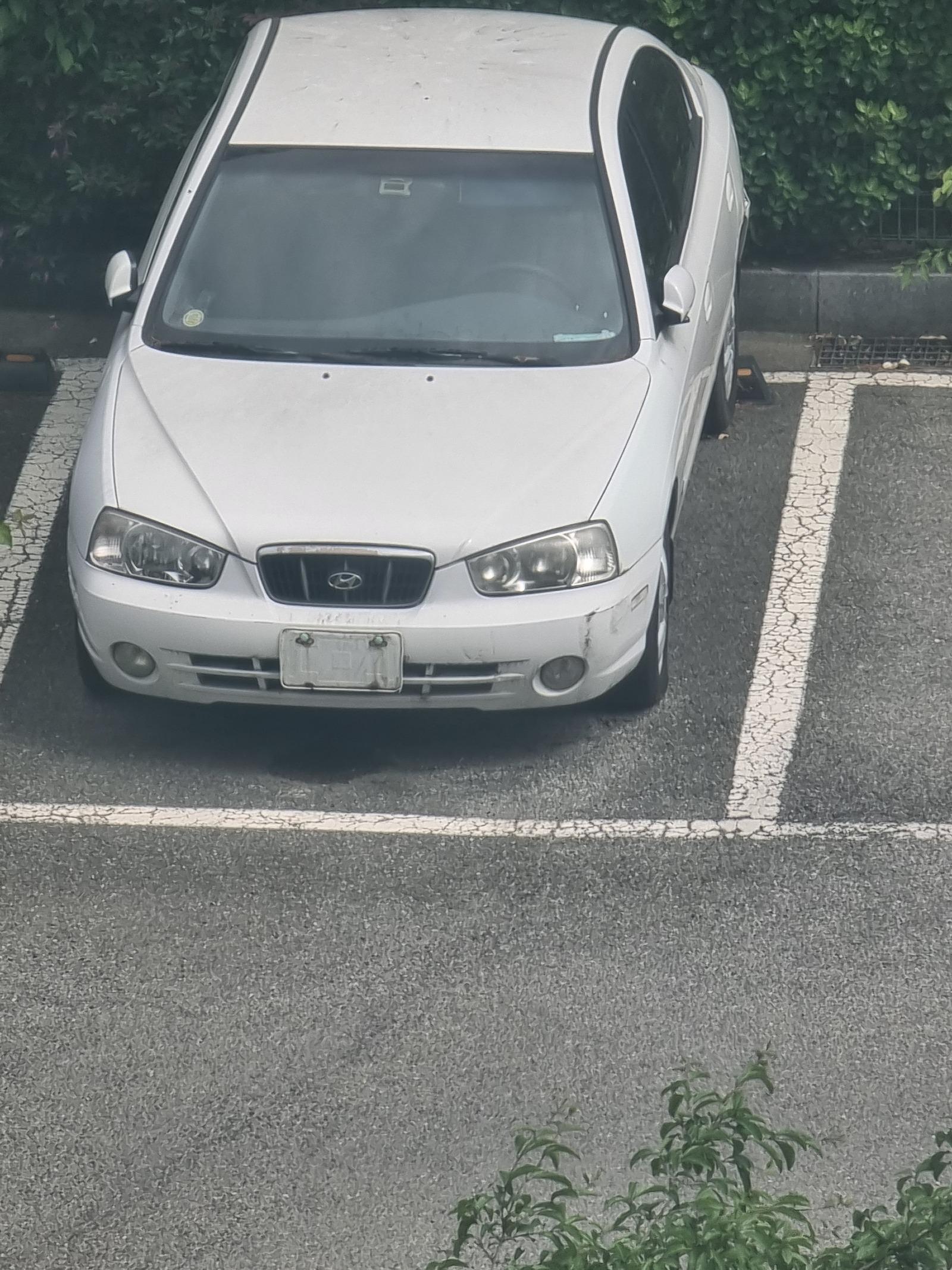1000061798.jpg