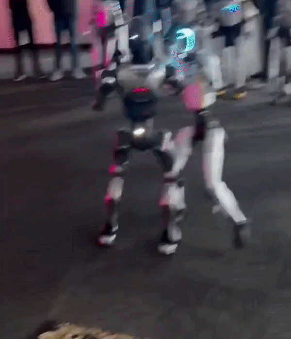 NISI20260511_0002132448_web.gif