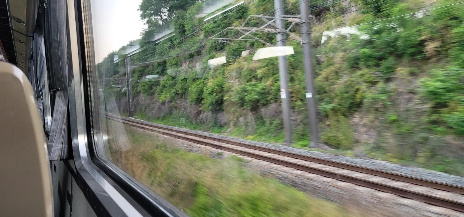 20260515_060639.jpg