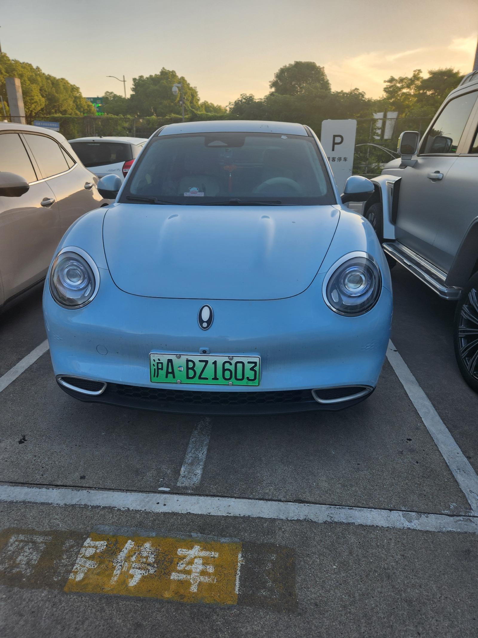 3198.jpg