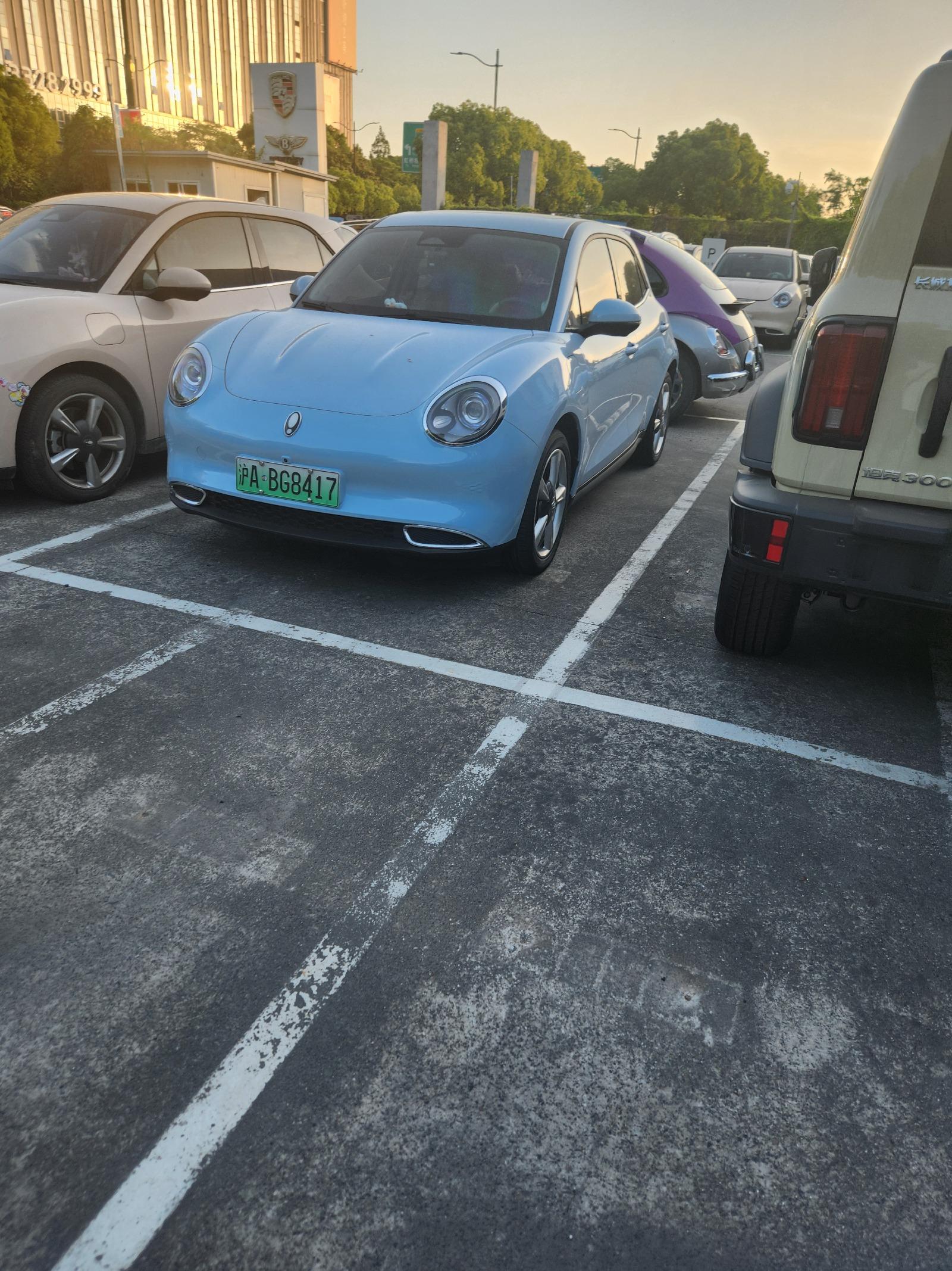 3193.jpg