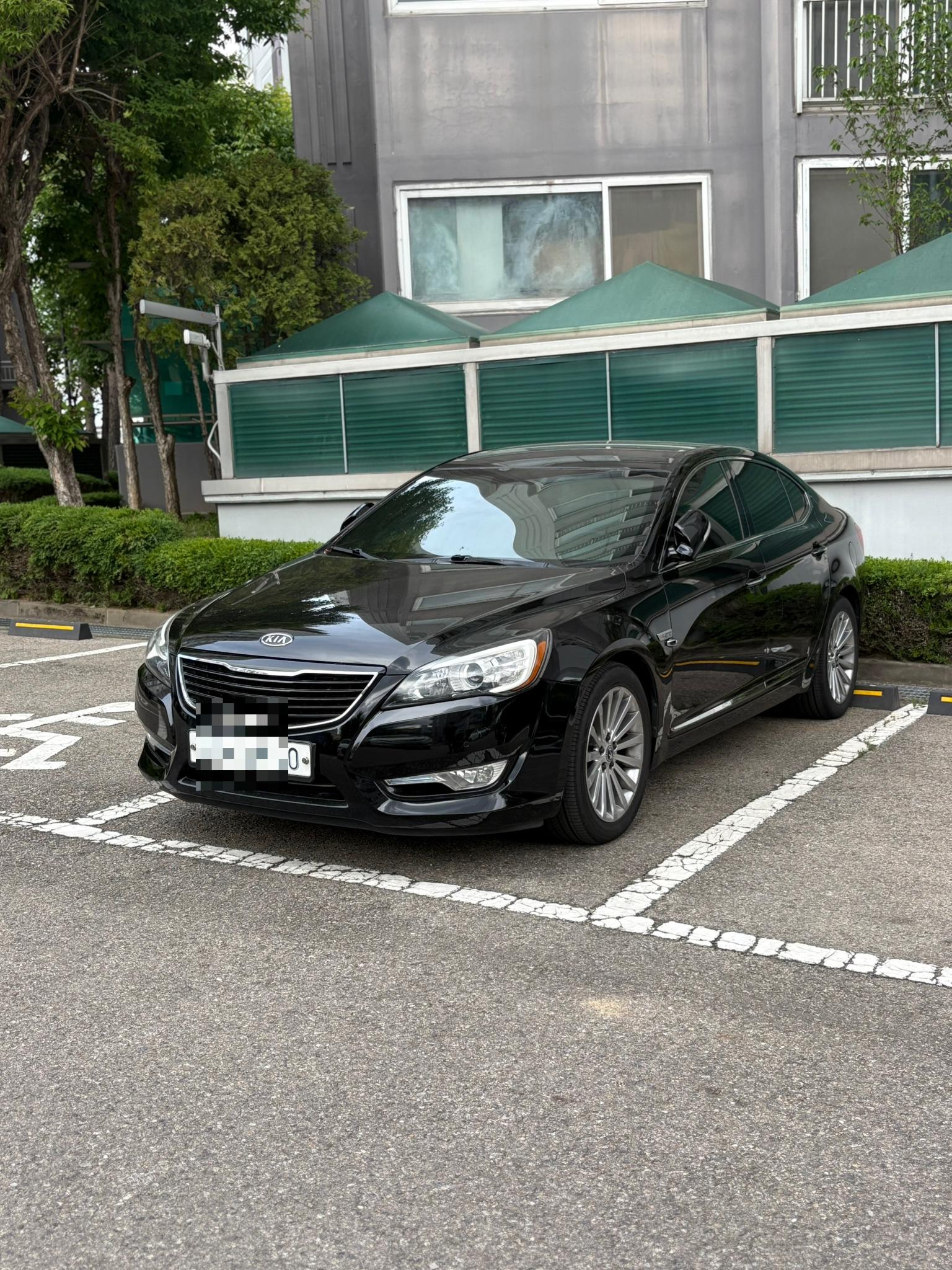 output_1132000638.jpeg