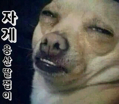 hsjn1774059149_1664113233.gif