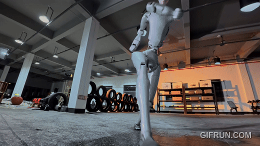 mt_1768085404886_271573_0.gif