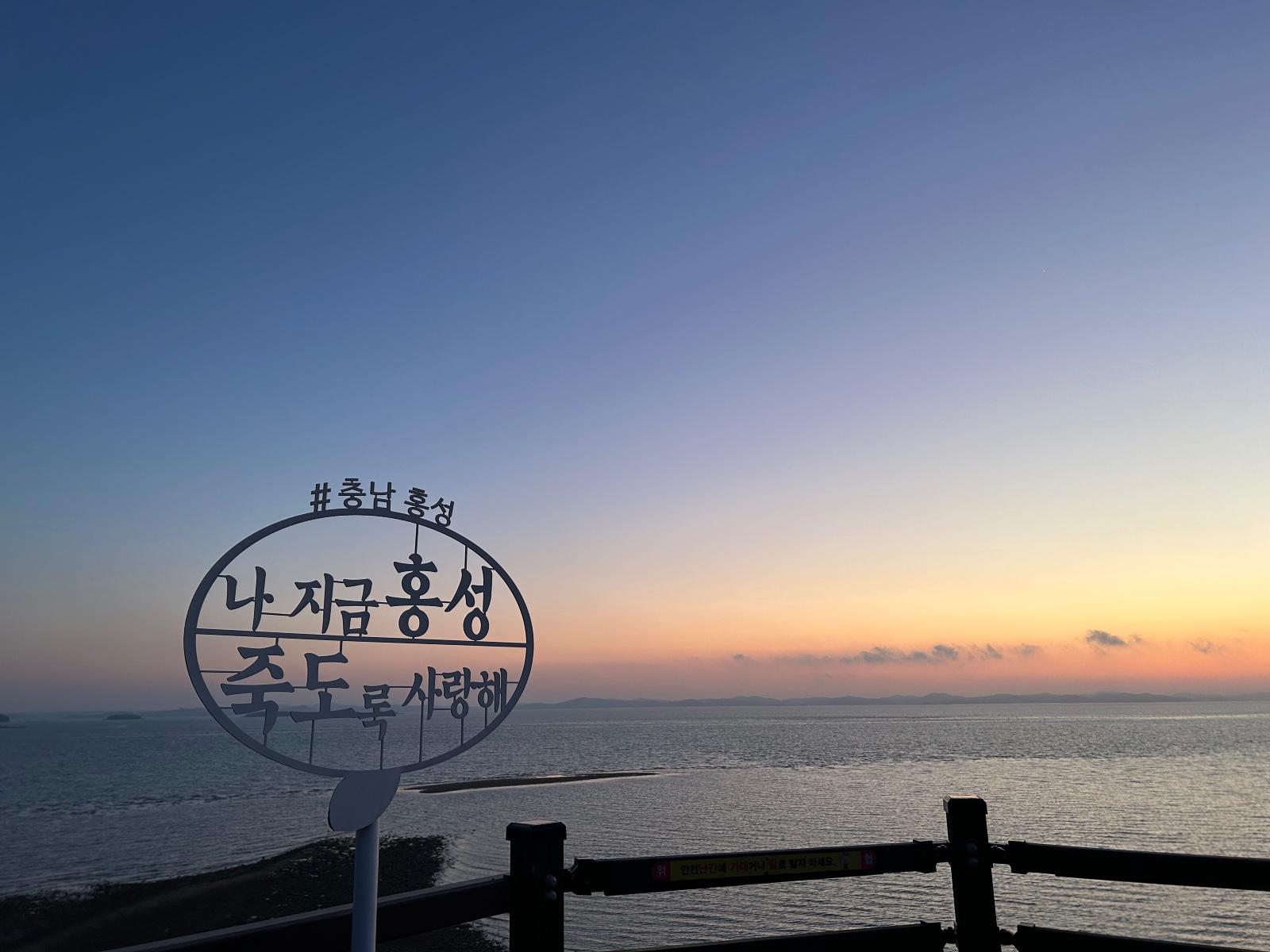 IMG_4959.jpeg